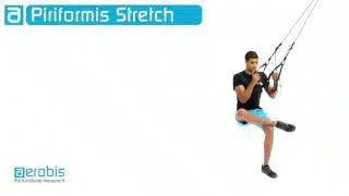 | Fitness-Allrounder: fitness aerobis mit Schlingentrainer Umlenkrolle